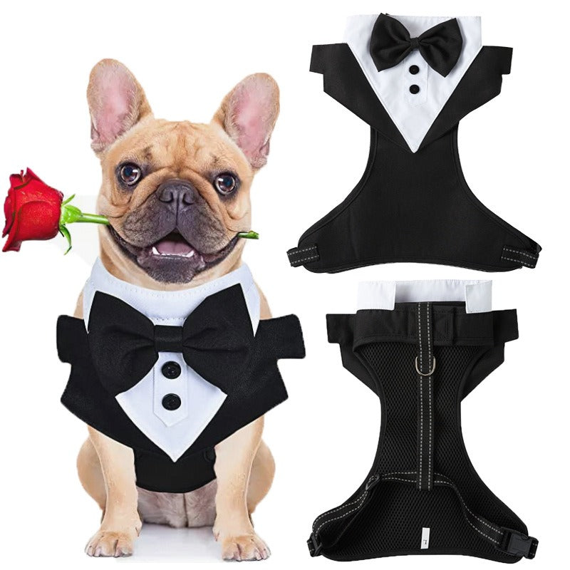 New Pet Haulage Cord Breast Strap corgi Teddy Fadou Clothes Explosion proof Chong Holiday Suit Dress