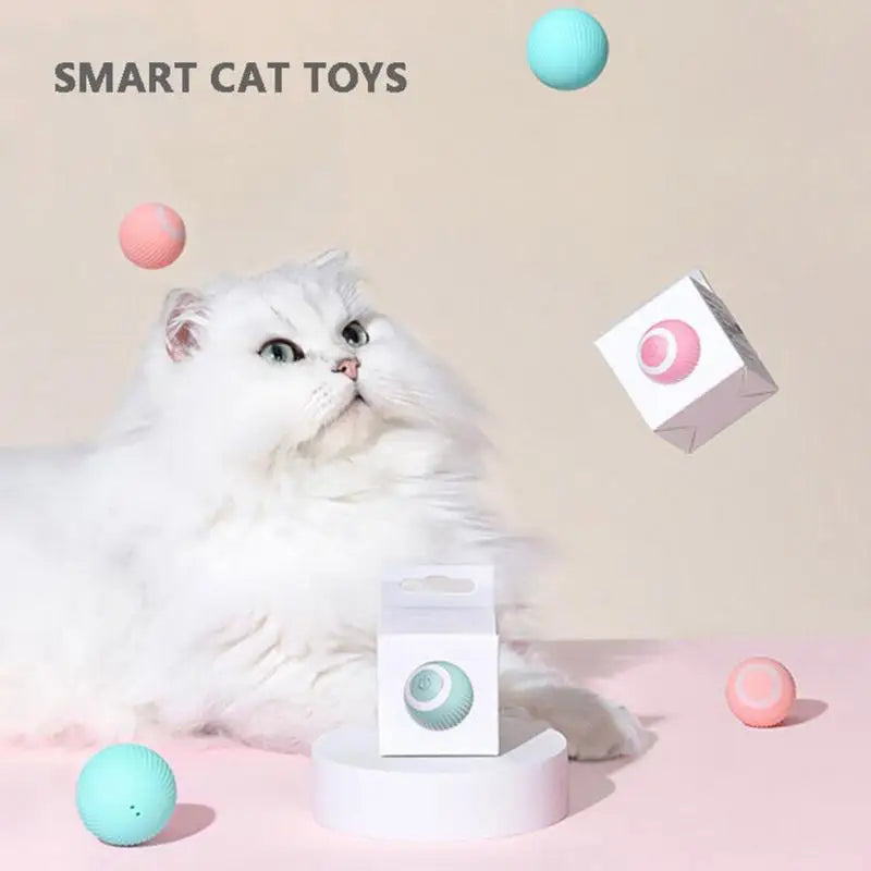 Smart Kitten Playing Ball USB Charging Automatic 360 Degree Automatic Pet Rolling Ball For Puppy Cats Kitten Playing