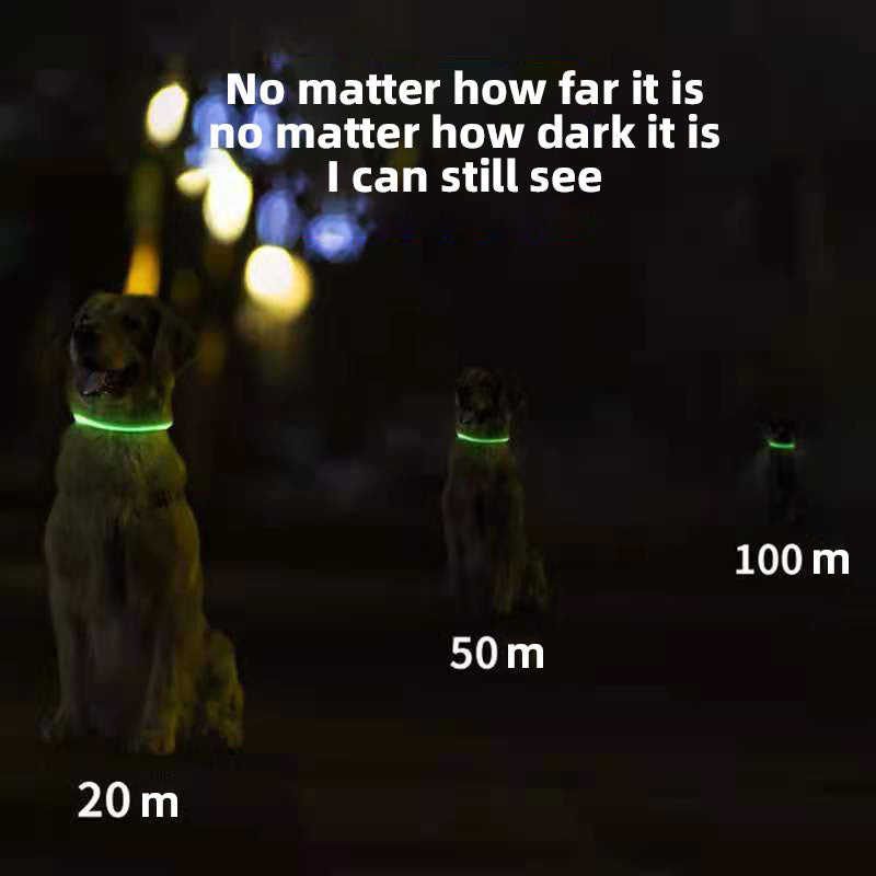 Dog Teddy Pet Luminous Led Collar Flashing At Night Walking Dog Collar Pet Supplies