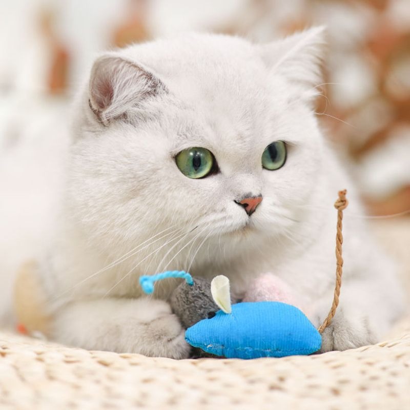 Brinquedos para gatos, ratos de pelúcia simulados, aliviam o tédio, interagem entre si e fornecem produtos para animais de estimação